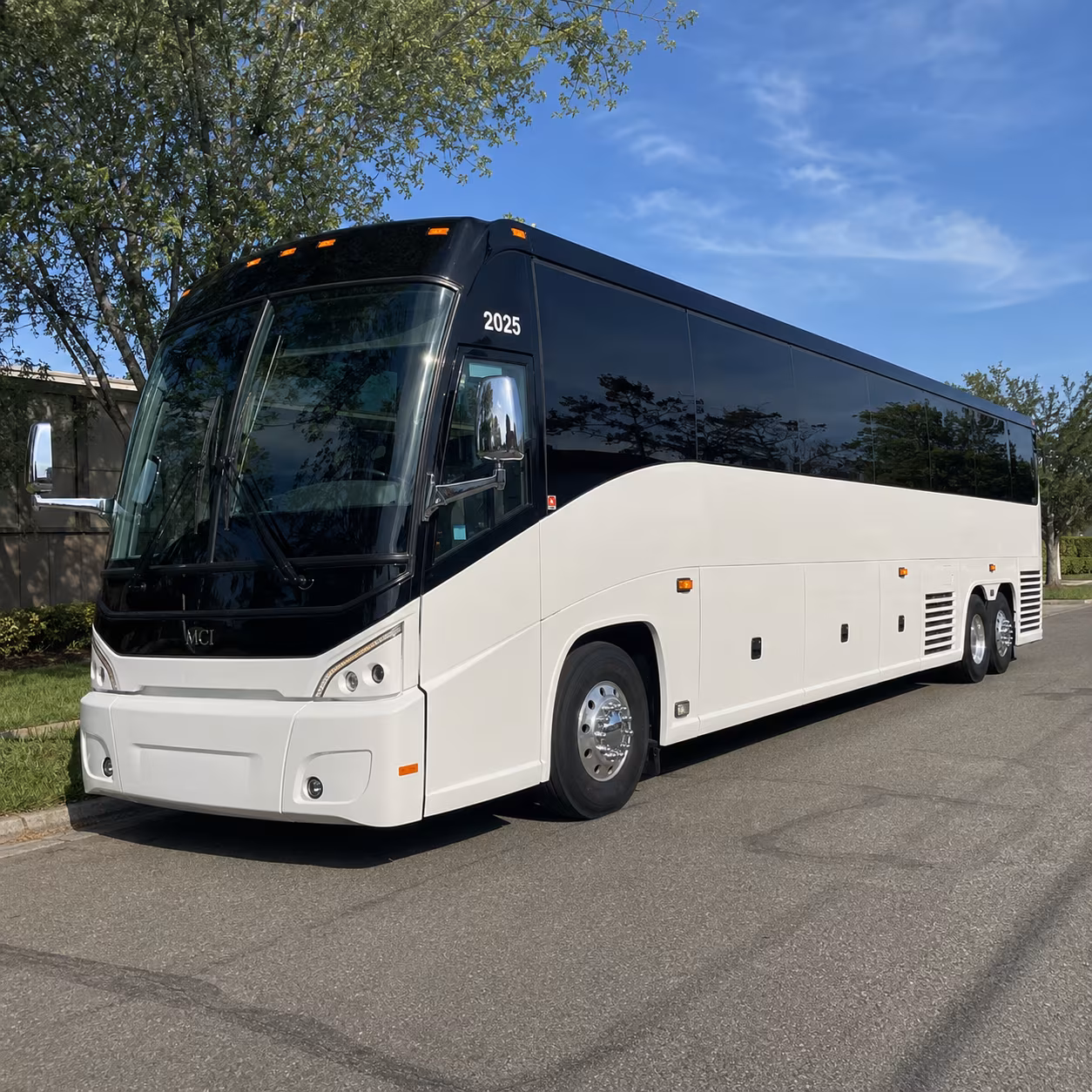 charter buses for large bachelor and bachelorette groups visiting san diego beaches and bars
